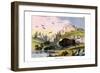 Bison, 1860-null-Framed Giclee Print