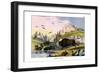 Bison, 1860-null-Framed Giclee Print