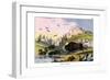 Bison, 1860-null-Framed Giclee Print