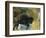 Bison 1-Sokol-Hohne-Framed Art Print