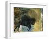 Bison 1-Sokol-Hohne-Framed Art Print