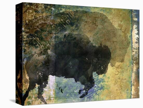 Bison 1-Sokol-Hohne-Stretched Canvas