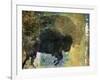 Bison 1-Sokol-Hohne-Framed Art Print