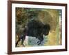 Bison 1-Sokol-Hohne-Framed Art Print