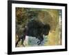 Bison 1-Sokol-Hohne-Framed Art Print