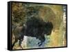 Bison 1-Sokol-Hohne-Framed Stretched Canvas