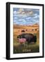 Bison and Calf Grazing - Antelope Island State Park-Lantern Press-Framed Art Print