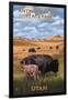 Bison and Calf Grazing - Antelope Island State Park-Lantern Press-Framed Art Print