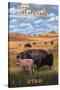 Bison and Calf Grazing - Antelope Island State Park-Lantern Press-Stretched Canvas