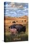 Bison and Calf Grazing - Antelope Island State Park-Lantern Press-Stretched Canvas