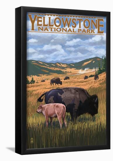 Bison And Calf Grazing - Yellowstone National Park-null-Framed Poster