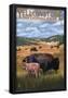 Bison And Calf Grazing - Yellowstone National Park-null-Framed Poster