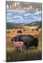 Bison And Calf Grazing - Yellowstone National Park-null-Mounted Poster