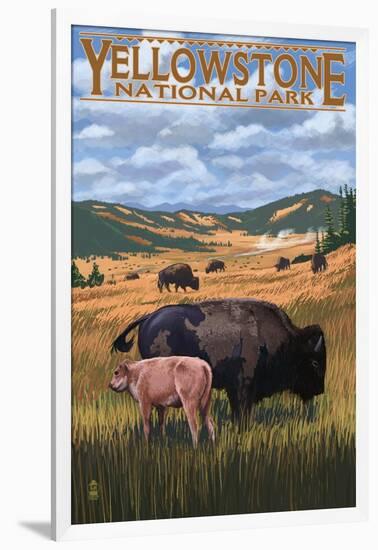 Bison and Calf Grazing - Yellowstone National Park-Lantern Press-Framed Art Print