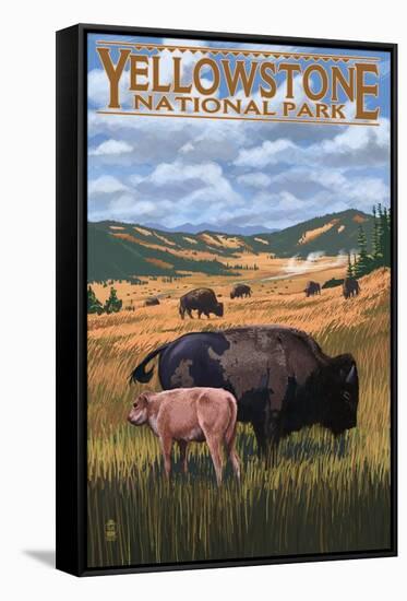 Bison and Calf Grazing - Yellowstone National Park-Lantern Press-Framed Stretched Canvas