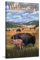 Bison and Calf Grazing - Yellowstone National Park-Lantern Press-Stretched Canvas