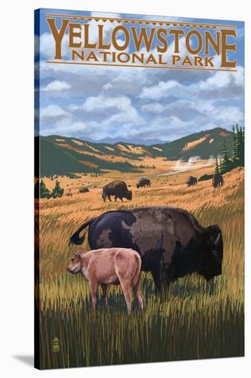 Bison and Calf Grazing - Yellowstone National Park-Lantern Press-Stretched Canvas