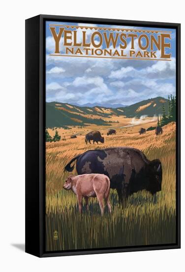 Bison and Calf Grazing - Yellowstone National Park-Lantern Press-Framed Stretched Canvas