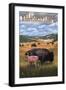 Bison and Calf Grazing - Yellowstone National Park-Lantern Press-Framed Art Print