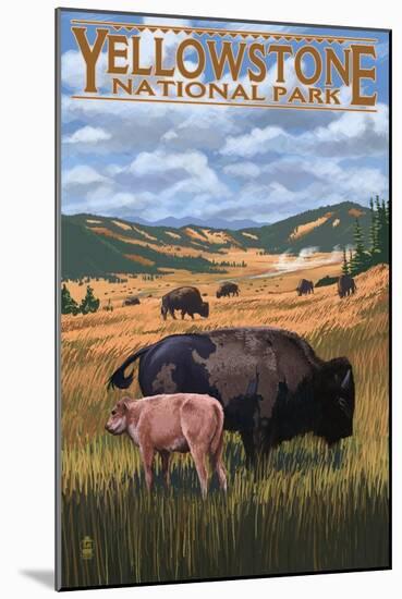 Bison and Calf Grazing - Yellowstone National Park-Lantern Press-Mounted Art Print