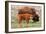 Bison and Calf-Lantern Press-Framed Art Print