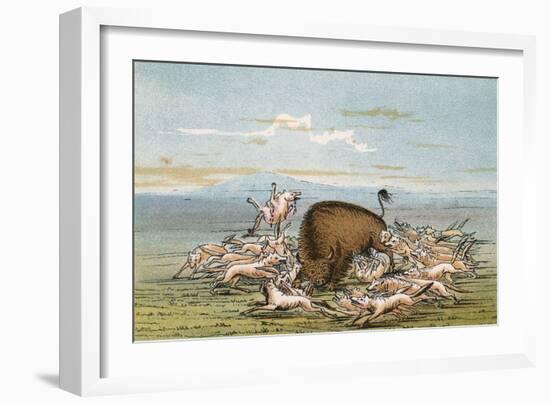 Bison and Coyotes-George Catlin-Framed Art Print