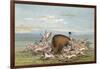 Bison and Coyotes-George Catlin-Framed Art Print