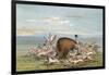 Bison and Coyotes-George Catlin-Framed Art Print