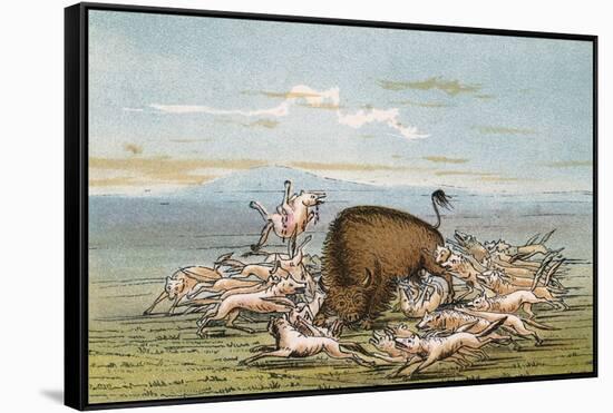 Bison and Coyotes-George Catlin-Framed Stretched Canvas