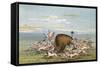 Bison and Coyotes-George Catlin-Framed Stretched Canvas