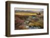 Bison and Creek-Chris Vest-Framed Art Print