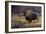 Bison and Magpies-Wilhelm Goebel-Framed Giclee Print