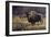 Bison and Magpies-Wilhelm Goebel-Framed Giclee Print