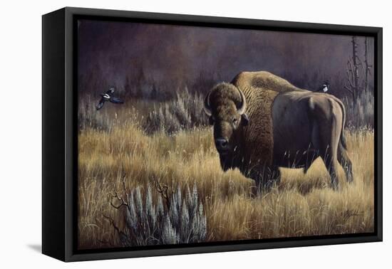 Bison and Magpies-Wilhelm Goebel-Framed Stretched Canvas