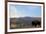 Bison and Mount Washburn in Early Morning Light, Yellowstone Nat'l Park, UNESCO Site, Wyoming, USA-Peter Barritt-Framed Photographic Print