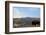 Bison and Mount Washburn in Early Morning Light, Yellowstone Nat'l Park, UNESCO Site, Wyoming, USA-Peter Barritt-Framed Photographic Print