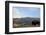 Bison and Mount Washburn in Early Morning Light, Yellowstone Nat'l Park, UNESCO Site, Wyoming, USA-Peter Barritt-Framed Photographic Print