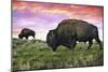 Bison and Sunset-Lantern Press-Mounted Art Print