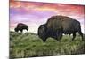 Bison and Sunset-Lantern Press-Mounted Art Print