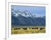 Bison and the Teton Range, Grand Teton National Park, Wyoming, USA-Jean Brooks-Framed Photographic Print