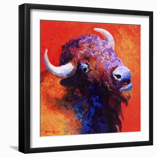 Bison Attitude-Marion Rose-Framed Giclee Print