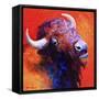 Bison Attitude-Marion Rose-Framed Stretched Canvas