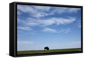 Bison, Badlands National Park, South Dakota-Paul Souders-Framed Stretched Canvas