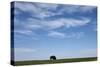 Bison, Badlands National Park, South Dakota-Paul Souders-Stretched Canvas