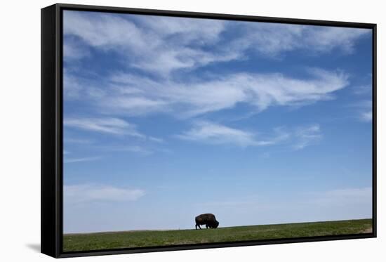Bison, Badlands National Park, South Dakota-Paul Souders-Framed Stretched Canvas