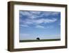 Bison, Badlands National Park, South Dakota-Paul Souders-Framed Premium Photographic Print