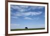 Bison, Badlands National Park, South Dakota-Paul Souders-Framed Photographic Print