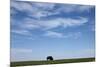 Bison, Badlands National Park, South Dakota-Paul Souders-Mounted Photographic Print