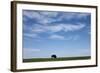 Bison, Badlands National Park, South Dakota-Paul Souders-Framed Photographic Print