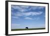 Bison, Badlands National Park, South Dakota-Paul Souders-Framed Photographic Print